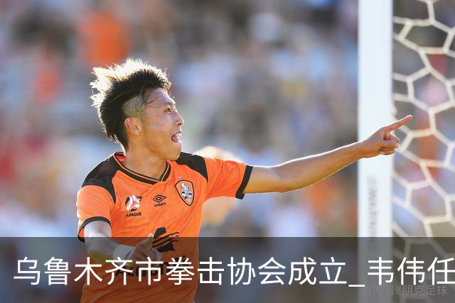 乌鲁木齐市拳击协会成立 韦伟任会长